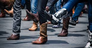 Cow boy boot